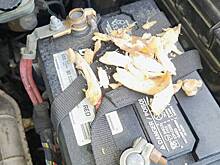 Парень решил отремонтировать машину и сделал неприятное открытие