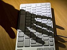 Правительство все-таки решилось на создание штаба по борьбе с интернет-мошенниками