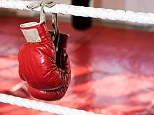 Назвавшего россиянина русской свиньей бойца MMA пожизненно отстранили