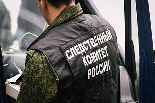 В Тюмени СК проверяет информацию о нарушении прав мальчика-сироты