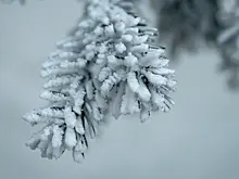 Вильфанд назвал регионы, покрытые снегом