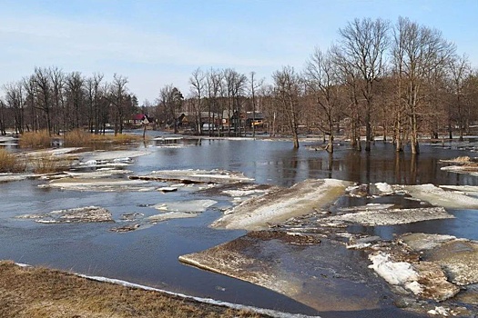 В ЛНР и Запорожской области талые воды привели к паводкам