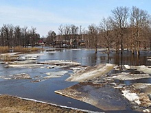 В ЛНР и Запорожской области талые воды привели к паводкам