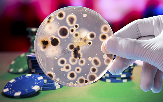 Лекторий МГУ им. М.В. Ломоносова: играют ли микробы в рулетку?