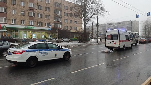 Побег черного УАЗа, насмерть сбившего женщину в Петрозаводске, попал на камеры