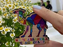 В Челябинской области запустят свой &ldquo;Pokémon Go&rdquo;: надо искать верблюдов, чтобы обменять их на призы