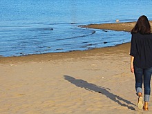 С правительства Воронежской области потребовали 350 млн рублей за намывной участок