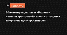 90-е возвращаются: в «Родине» назвали «расправой» арест члена партии за организацию проституции