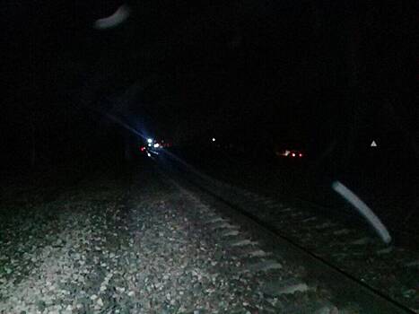 Мужчина и 8-летняя девочка погибли под поездом Казань-Москва