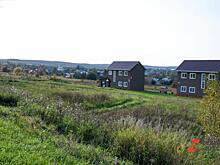 Красноярские садоводства получат гранты на 2 млн рублей