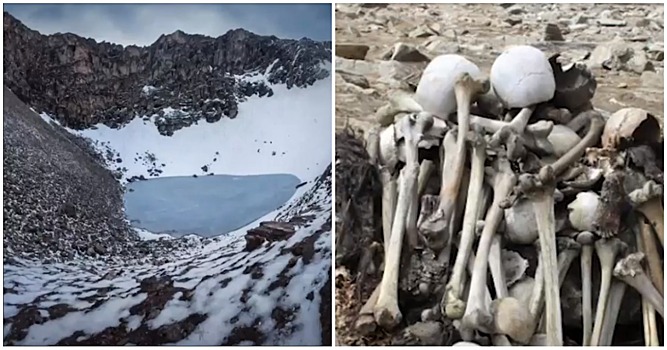 Ученые не могут понять, откуда взялись сотни костей