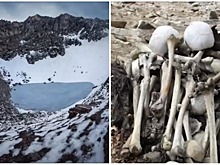 Ученые не могут понять, откуда взялись сотни костей