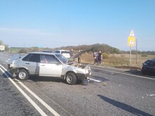 В ДТП с грузовиком в Путятинском районе пострадали двое детей