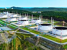 Сергей Удальцов: Пора вырвать природные богатства России из лап олигархов