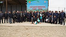 25 специалистов из садоводческих районов Дагестана соревновались в конкурсе «Лучший обрезчик сада - 2023»