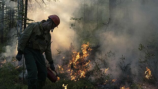 Зафиксирован рекордный выброс углекислого газа от лесных пожаров