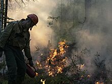 Названо число погибших при пожарах на Урале и в Сибири