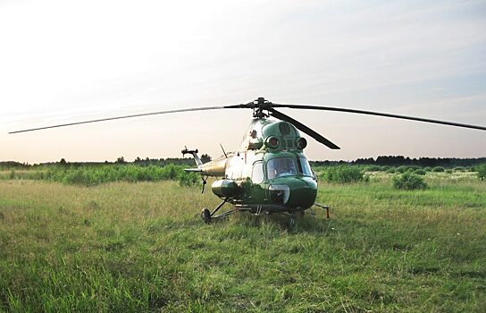 Курганский авиаклуб проведет мониторинг свердловских лесов за 8 млн рублей