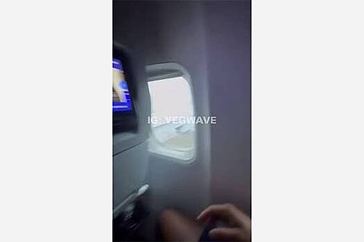 Паника в салоне самолета с горящим двигателем попала на видео