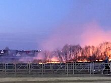 В районе Зари пожар охватил полкилометра поля