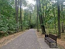 Дорожки в «Щукинском» парке приведут в порядок в весенний период