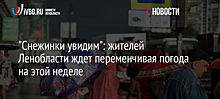 "Снежинки увидим": жителей Ленобласти ждет переменчивая погода на этой неделе