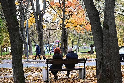 В Москве наступила глубокая осень