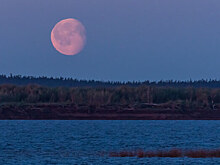 Обвинявший губернатора в коррупции красноярский депутат лишился дома