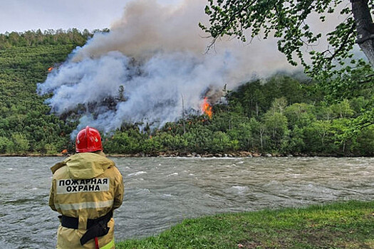 Тысячу туристов эвакуировали в Анапе из-за лесного пожара