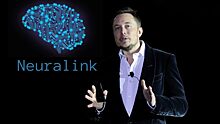 Компанию Илона Маска Neuralink, разрабатывающую чипы в мозг, заподозрили в жестоком обращении с животными