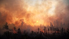 В Приморье за сутки локализованы 23 лесных пожара