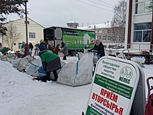 Две акции приёма вторсырья для помощи бездомным животным пройдут в Вологде в январе