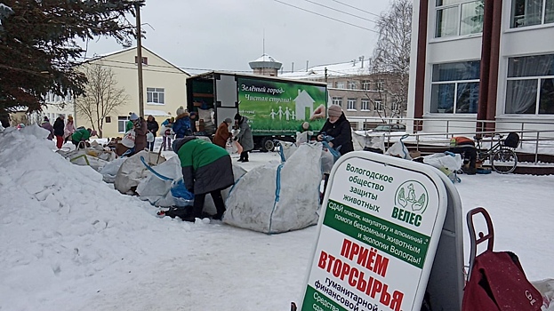 Две акции приёма вторсырья для помощи бездомным животным пройдут в Вологде в январе
