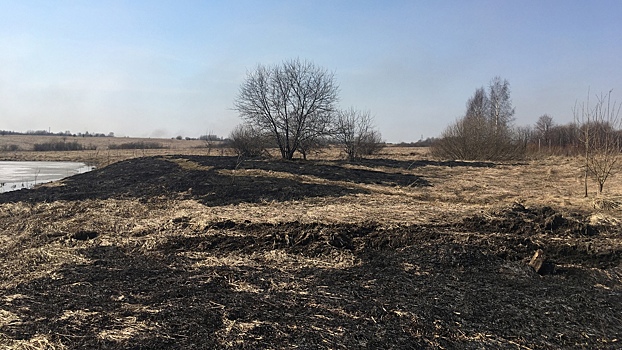 Три пала сухой травы ликвидировали в Вологде за сутки