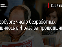 В Петербурге число безработных уменьшилось в 4 раза за прошедший год