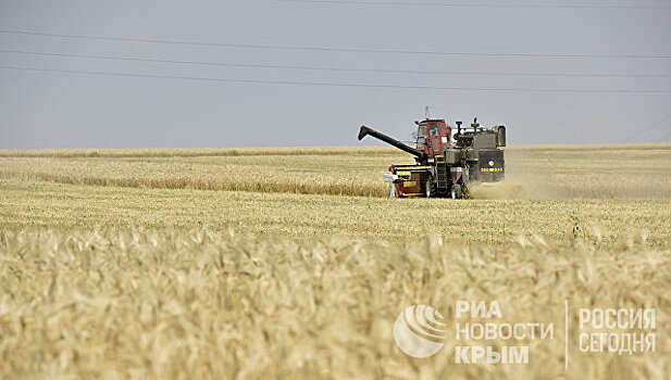 Крымские аграрии намолотили почти 1,7 млн тонн зерновых