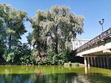 Работника завода «Ижсталь» оштрафовали за загрязнение реки Иж