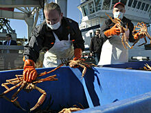 Когда в России появятся свои краболовы