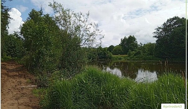 Жителя Кильмези оштрафовали за парковку автомобиля возле реки