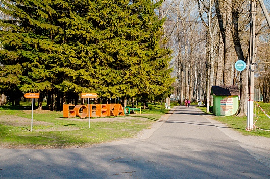 В День здоровья куряне сделают «10 000 шагов к жизни»
