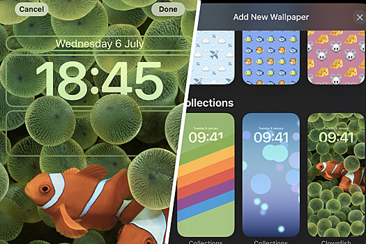 Apple вернула в iOS самые первые обои с рыбами-клоунами