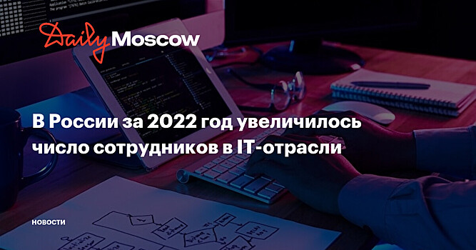 В России за 2022 год увеличилось число сотрудников в IT-отрасли