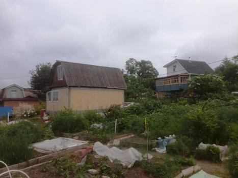 Последний шанс для дачников. Вступил в силу новый закон