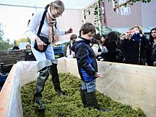 Праздник «Изумрудный виноград» пройдет в Таганском парке