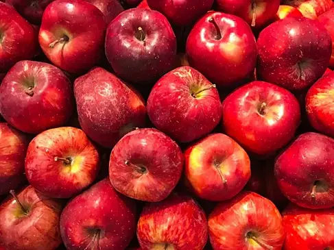 Мониторинг цен на 19 июля: где в Самаре можно дешево купить продукты