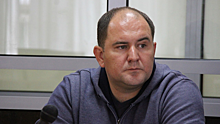 Борец с коррупцией Дмитрий Елизаров не признал вину в получении взятки