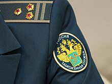 Обзор прессы: в странах ЕАЭС понизят пошлины на ввоз легковушек