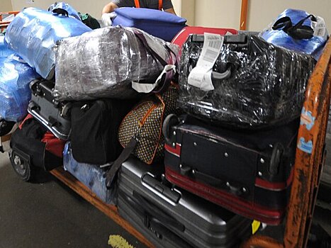 Менее 80 единиц багажа отдыхавших в Дубае туристов осталось в аэропорту Домодедово