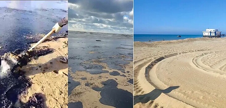 Эксперты АТОР оценили состояние пляжей в Анапе
