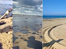 Эксперты АТОР оценили состояние пляжей в Анапе